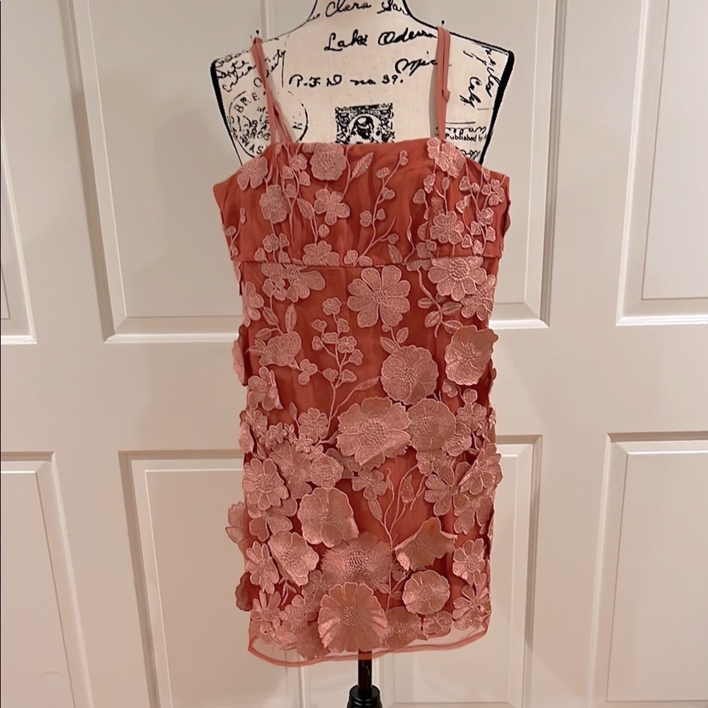 College Girls! Floral Embroidered Dress in Coral